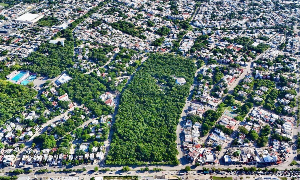 Ombligo Verde de Cancún.