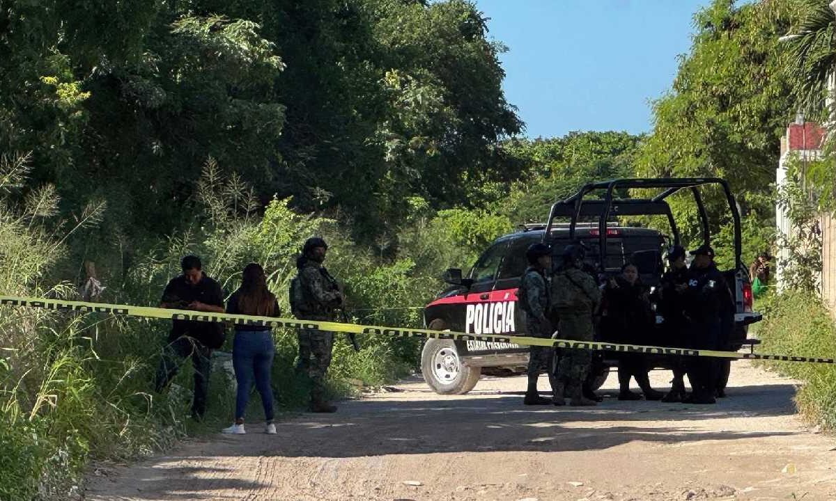 Últimas noticias. Vigilancia en la zona.