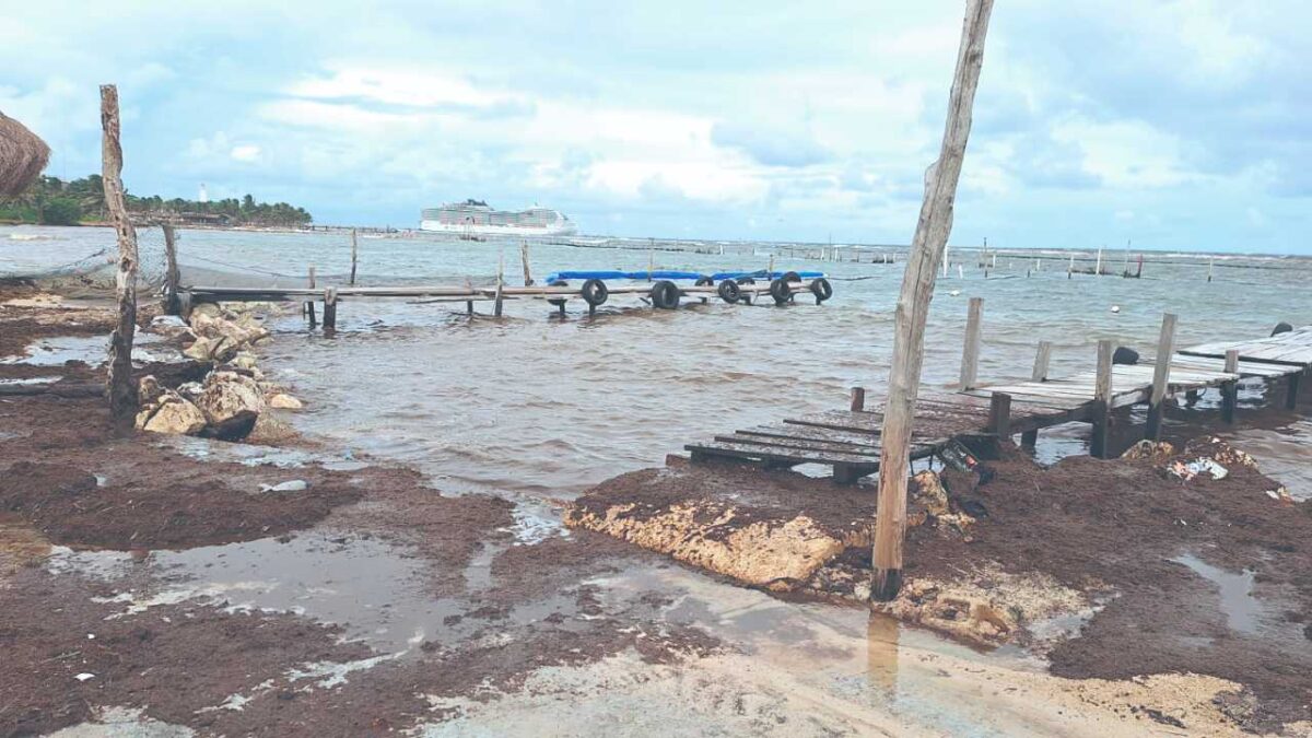 Mahahual, en crisis.