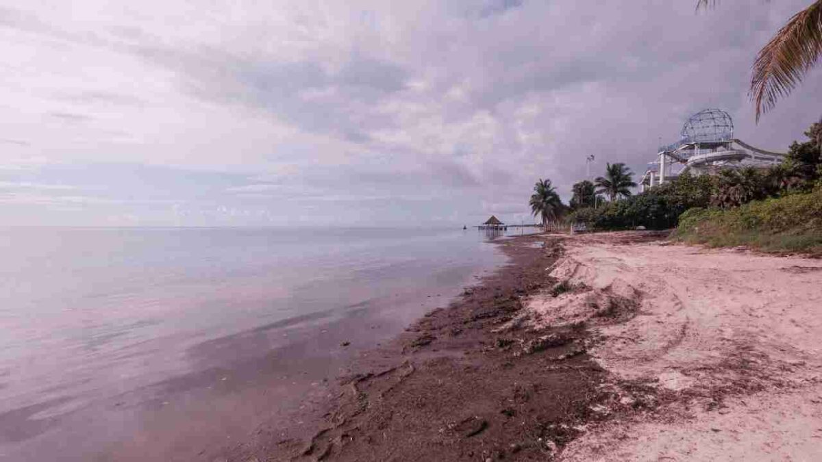 Seguirán las lluvias.