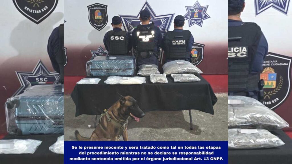 Aseguran narcóticos en ADO de Cancún.