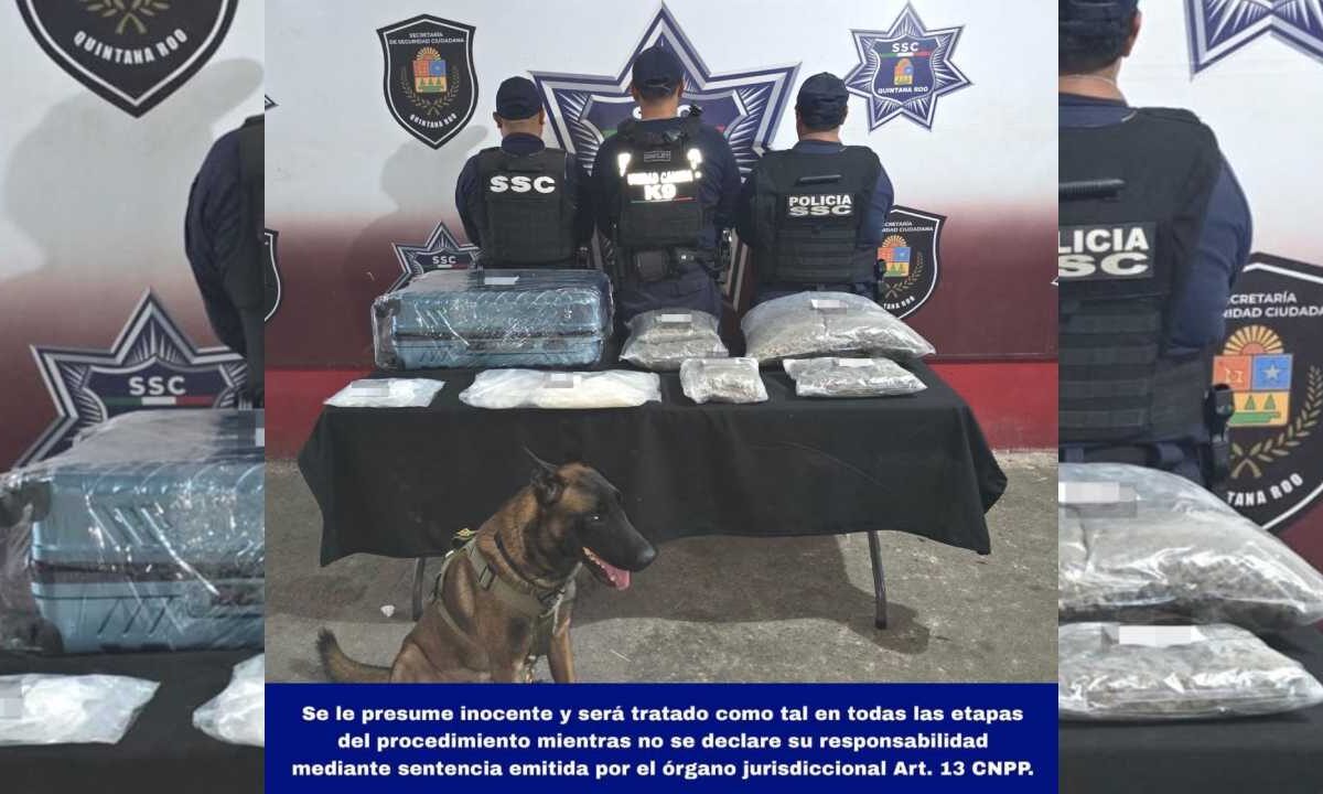 Aseguran narcóticos en ADO de Cancún.