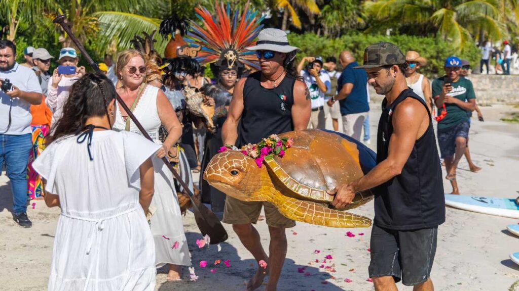 Protección a la tortuga marina caguama.