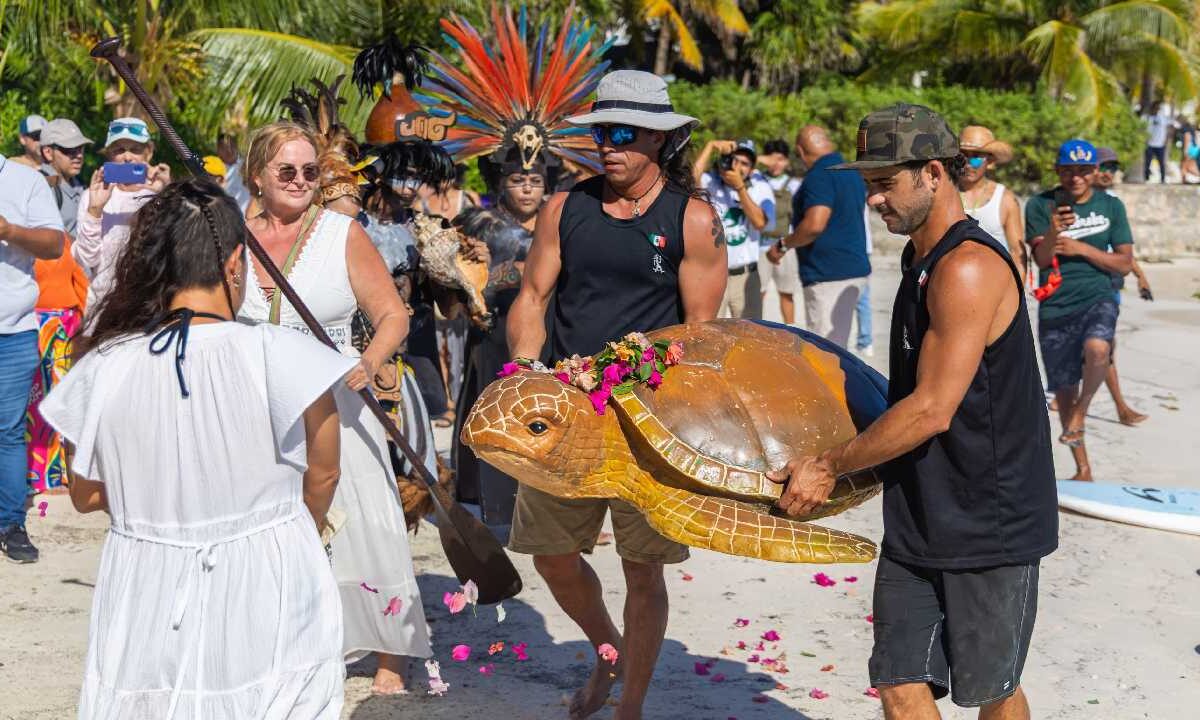Protección a la tortuga marina caguama.