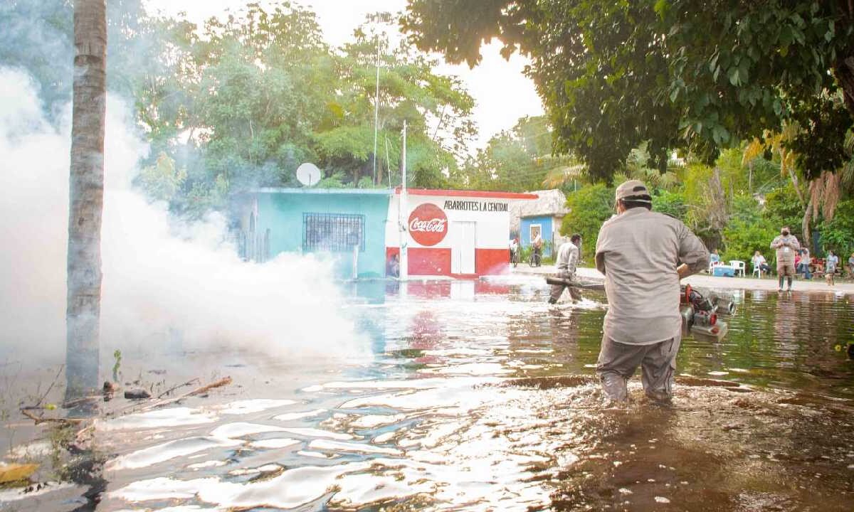 Autoridades contra el dengue.