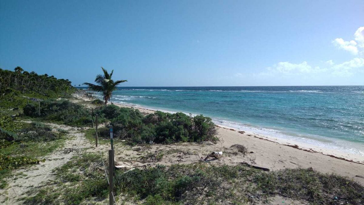 ANP no representan una barrera.