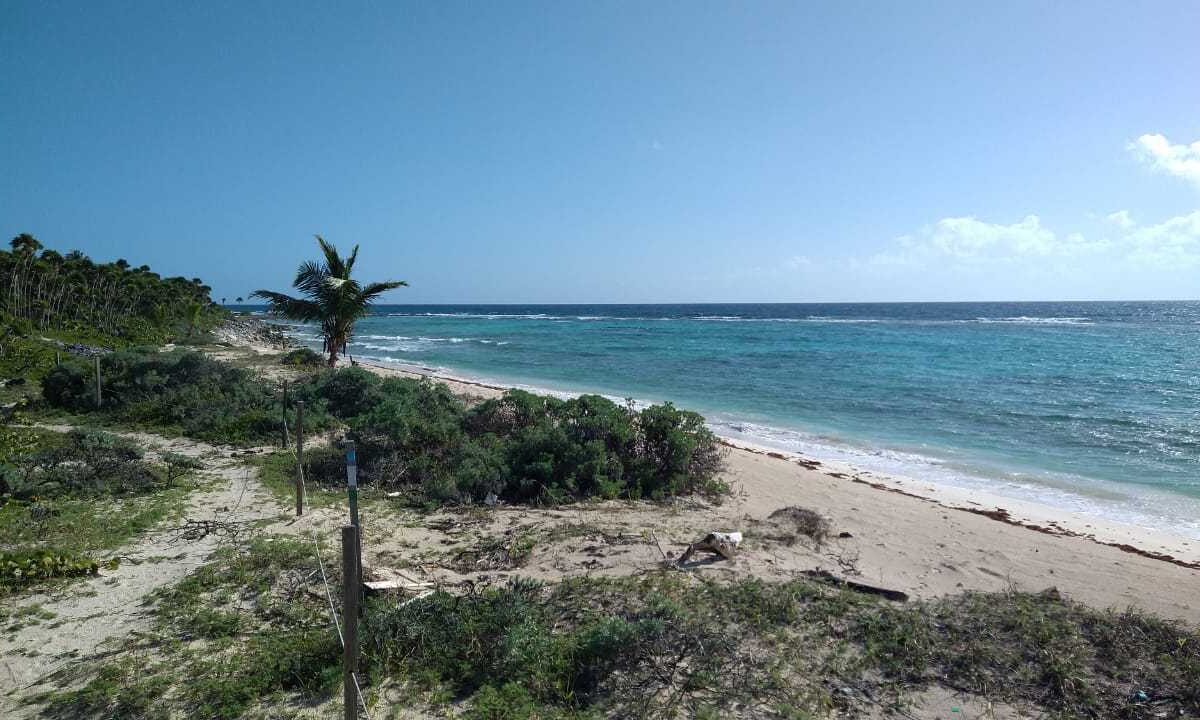 ANP no representan una barrera.