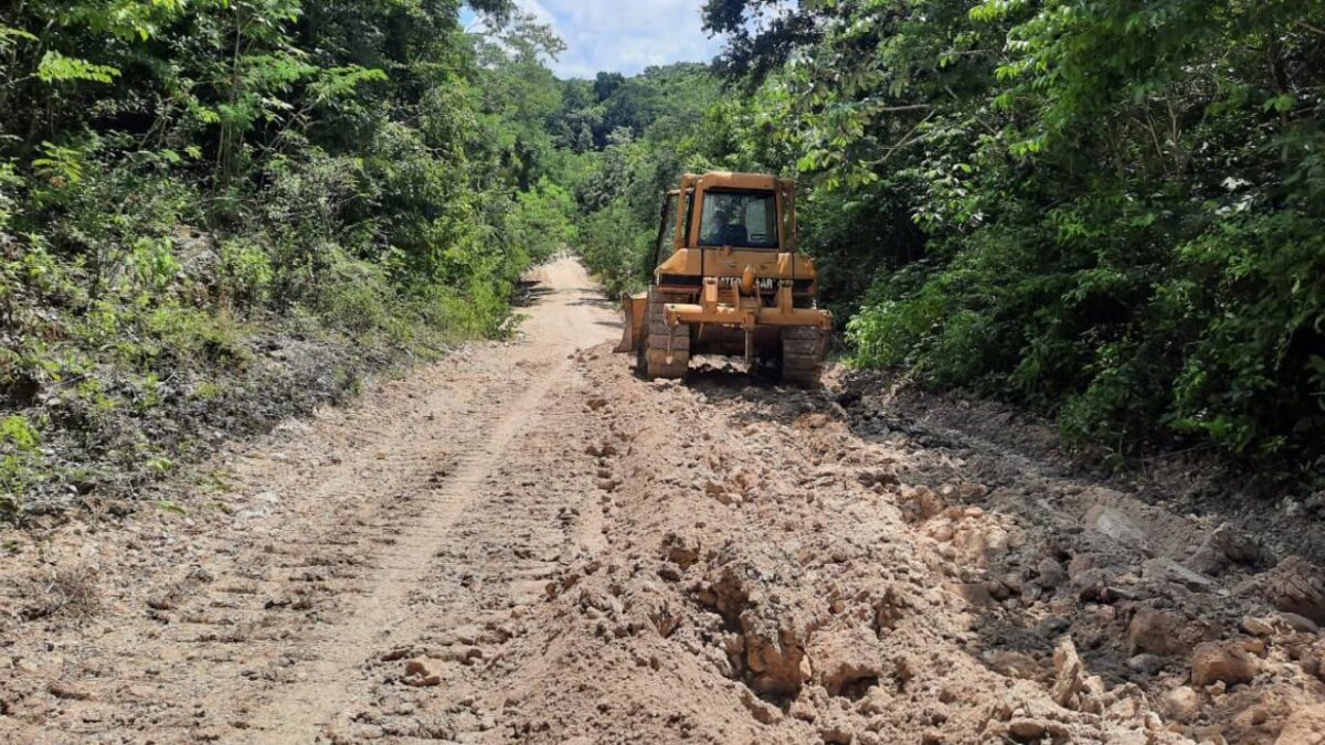 Camino sacacosechas en Quintana Roo