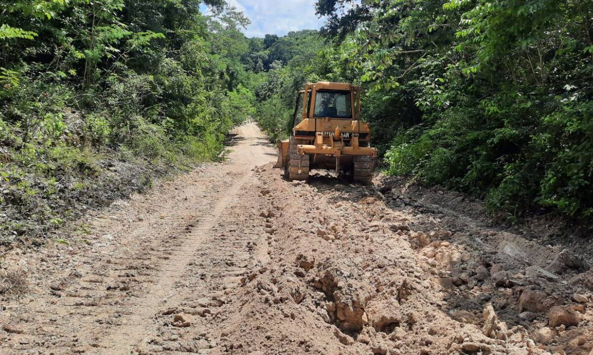 Camino sacacosechas en Quintana Roo