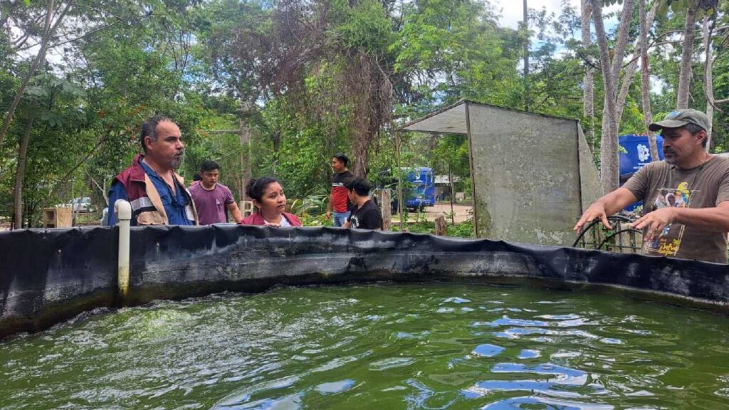 Sader explica los subsidios eléctricos.