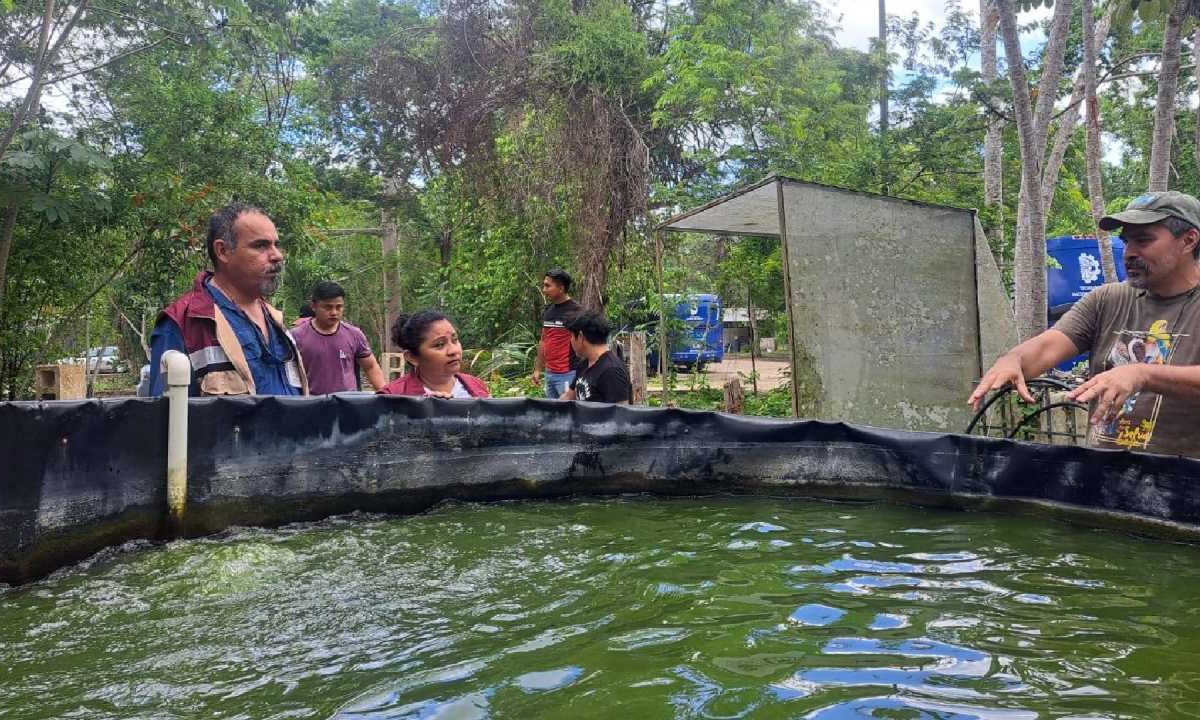 Sader explica los subsidios eléctricos.