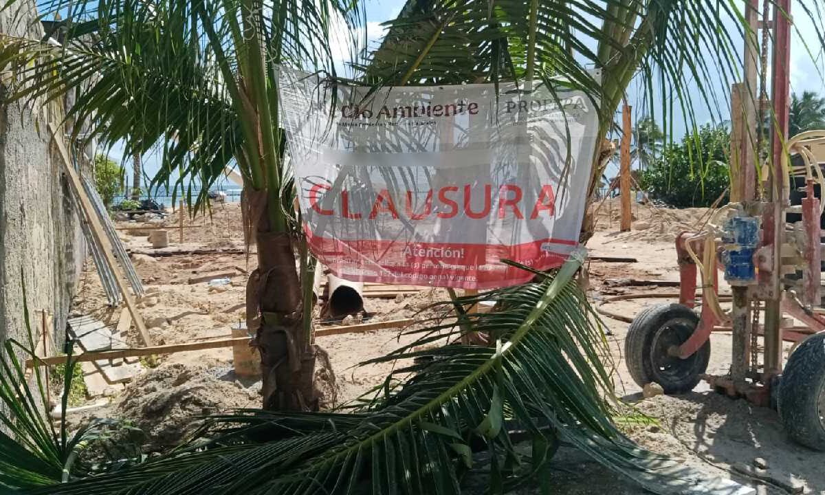 Profeco actúa en mahahual.