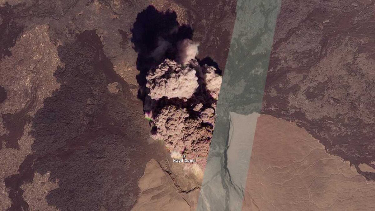 Hayli Gubb volvió a despertar.