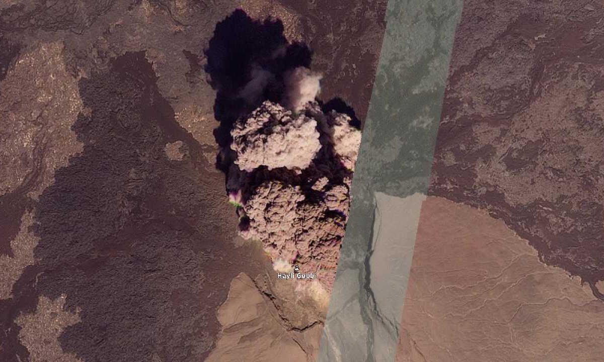 Hayli Gubb volvió a despertar.