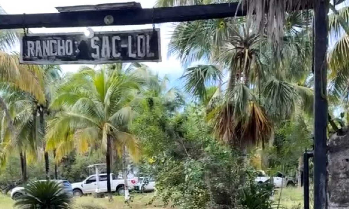 Hallan restos humanos en un cementerio clandestino.