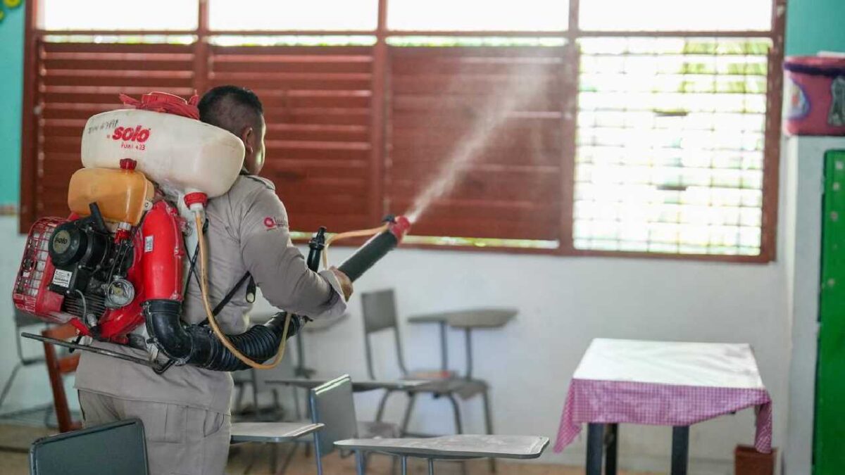 Los frentes fríos espantaron a los mosquitos.