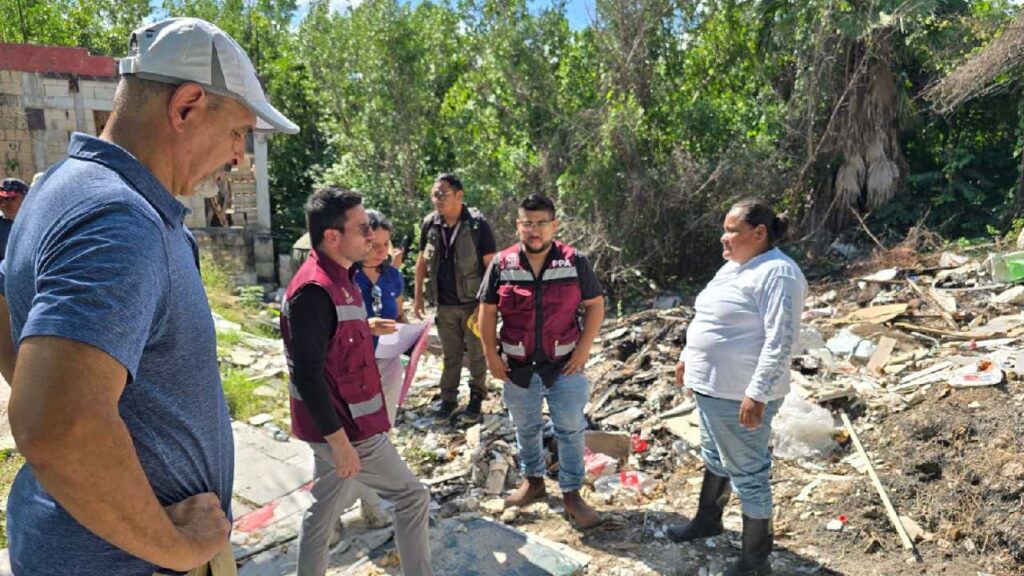 Cuidados al medio ambiente.