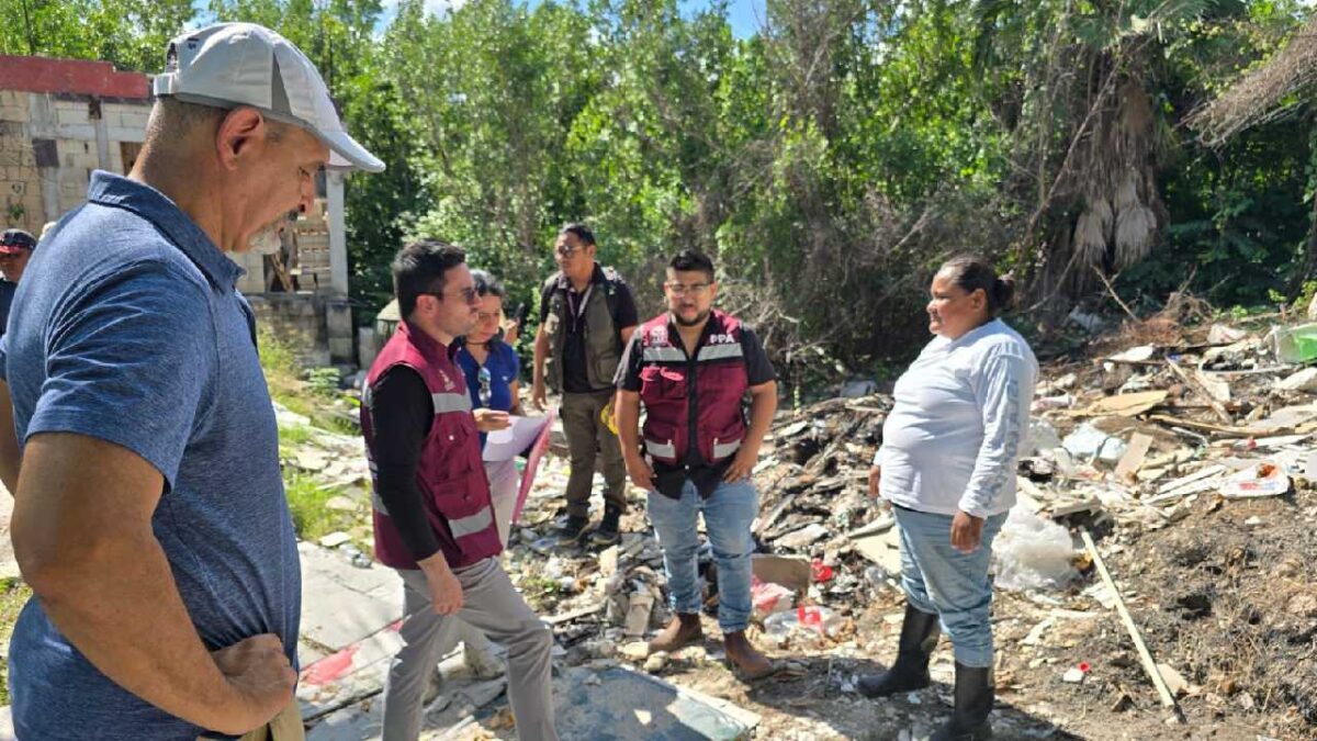 Cuidados al medio ambiente.