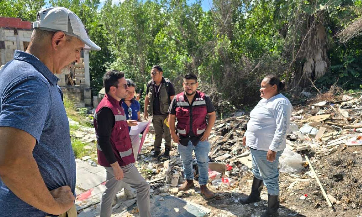 Cuidados al medio ambiente.