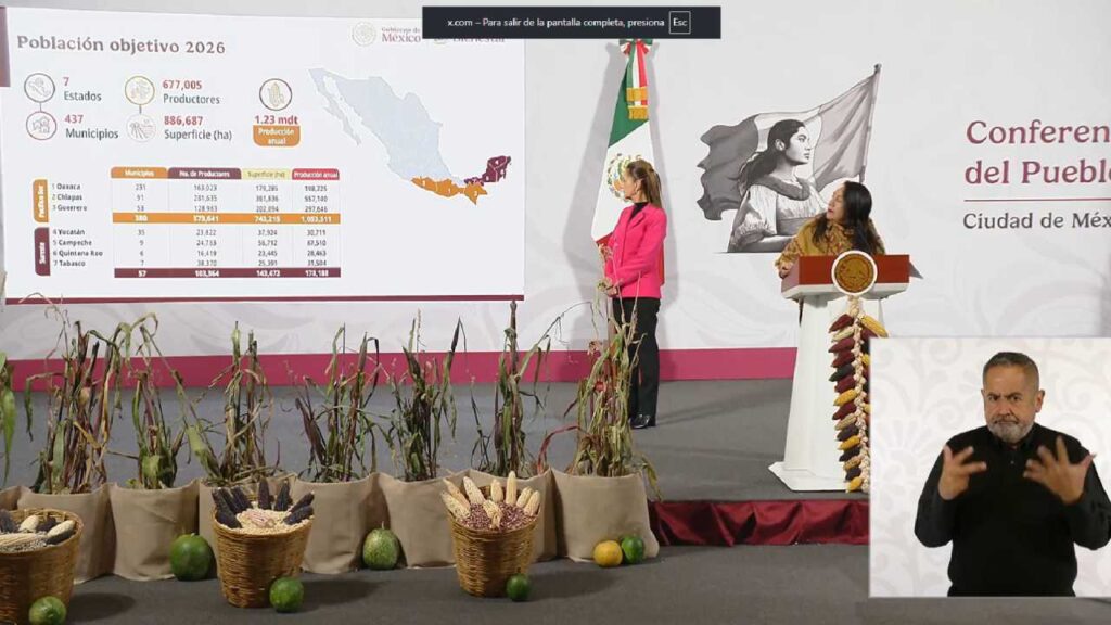 Buscan mayor producción del maíz nativo.