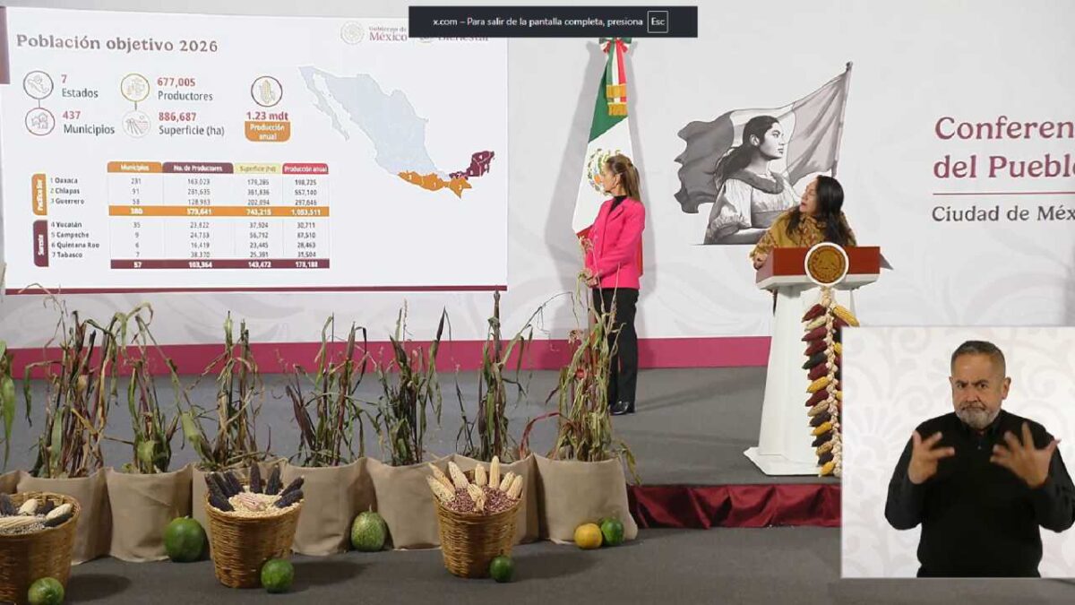 Buscan mayor producción del maíz nativo.