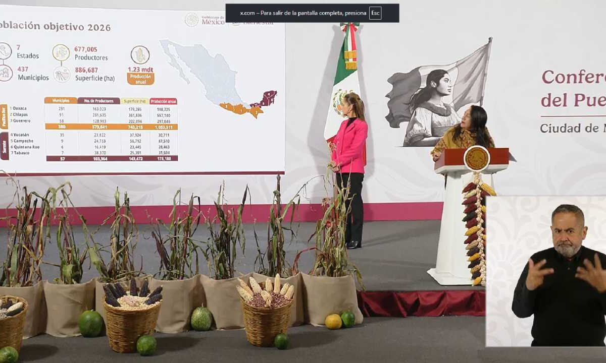 Buscan mayor producción del maíz nativo.