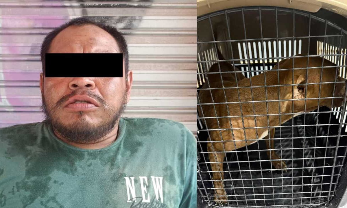 El presunto atacante está bajo custodia.