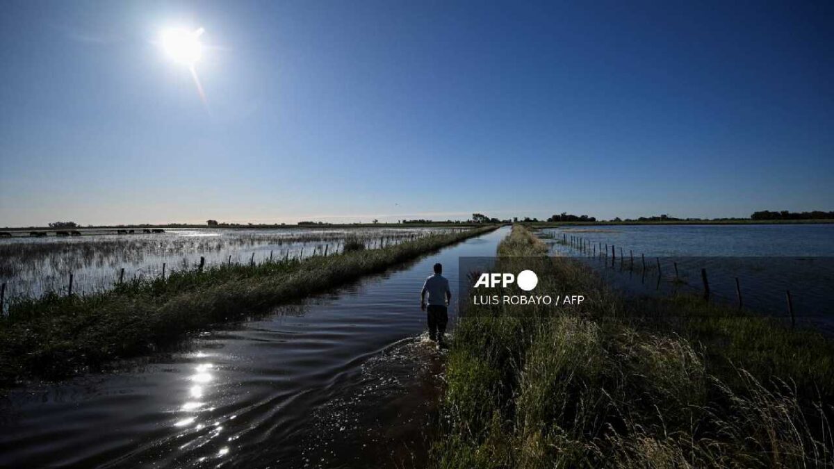 En crisis, la Pampa argentina.