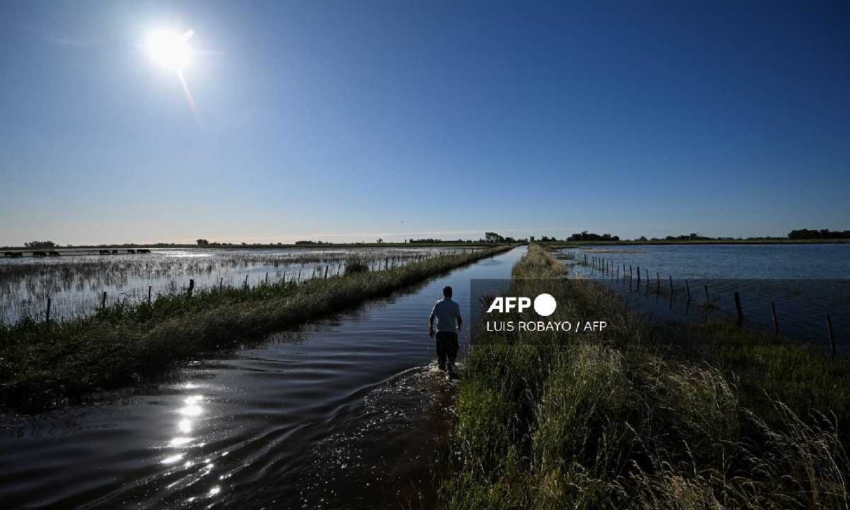 En crisis, la Pampa argentina.