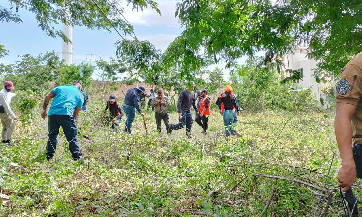 Madres buscadoras en pie de lucha.