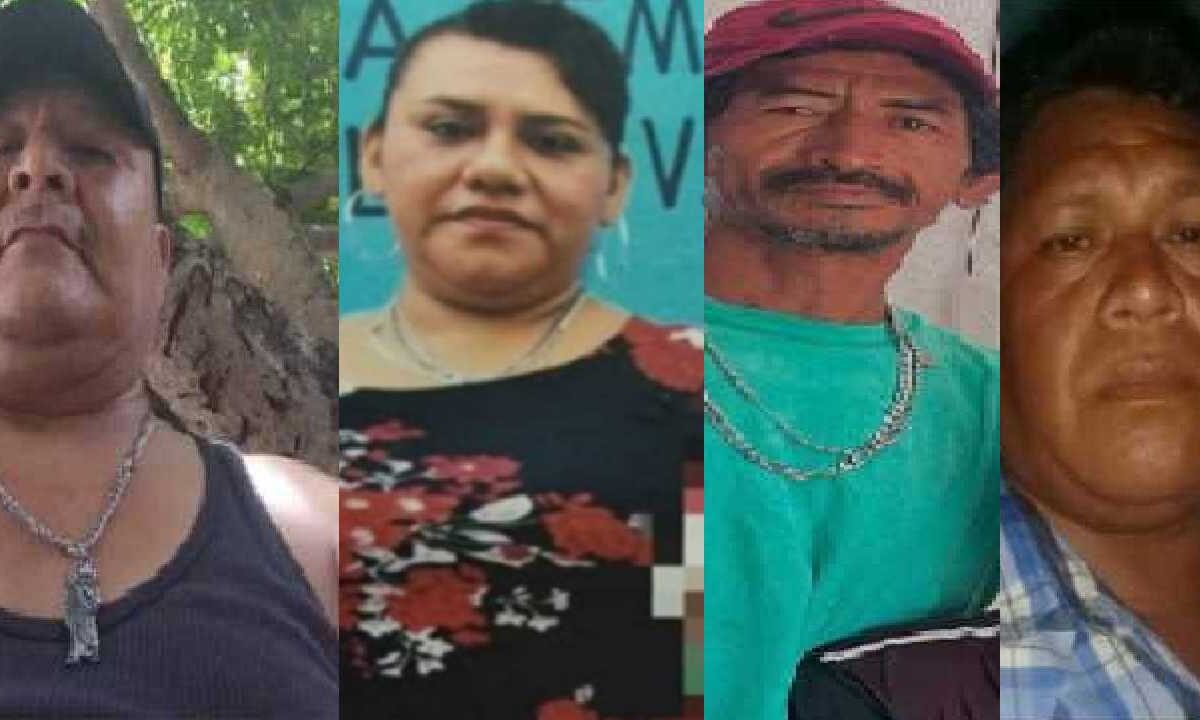 Activan dichas de búsqueda.