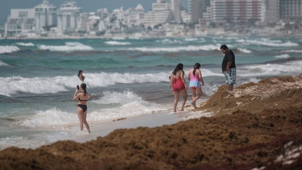 Temporada de sargazo 2025.