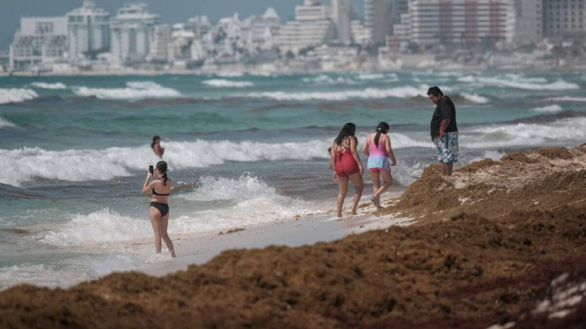 Temporada de sargazo 2025.