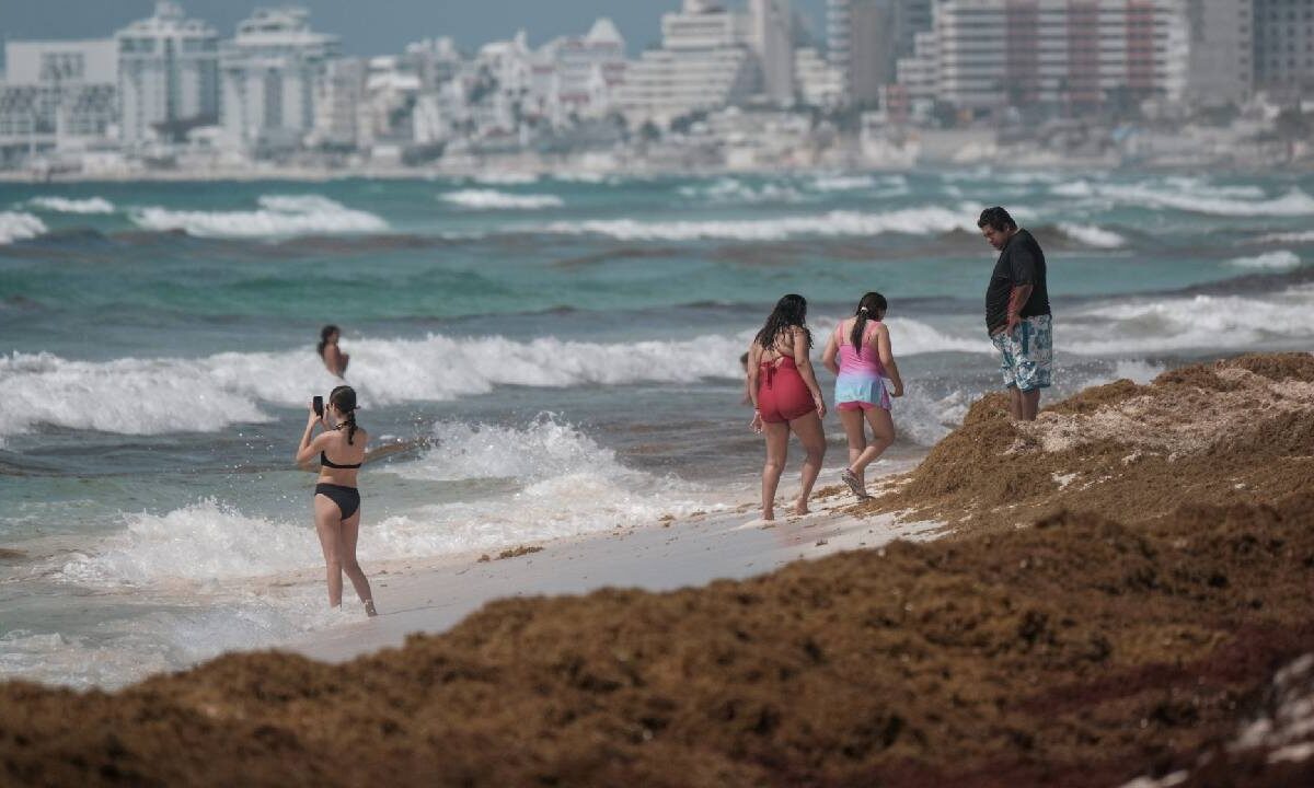 Temporada de sargazo 2025.