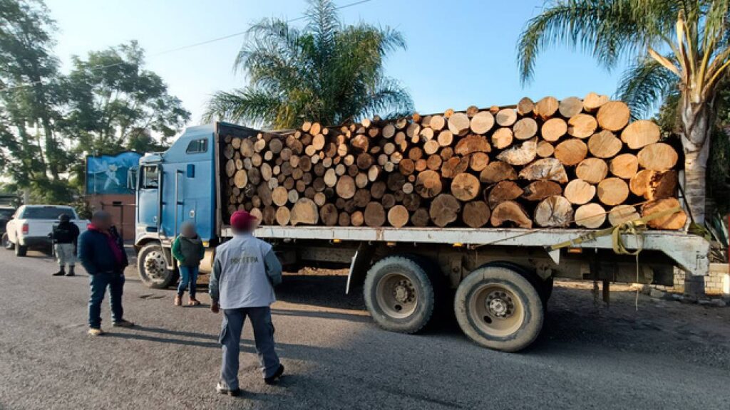 Inspección de Profepa.
