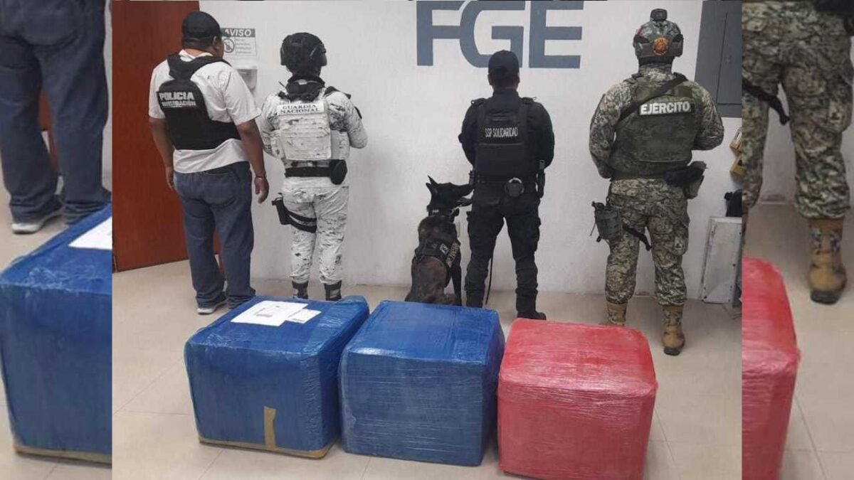 Aseguran droga en Playa del Carmen.