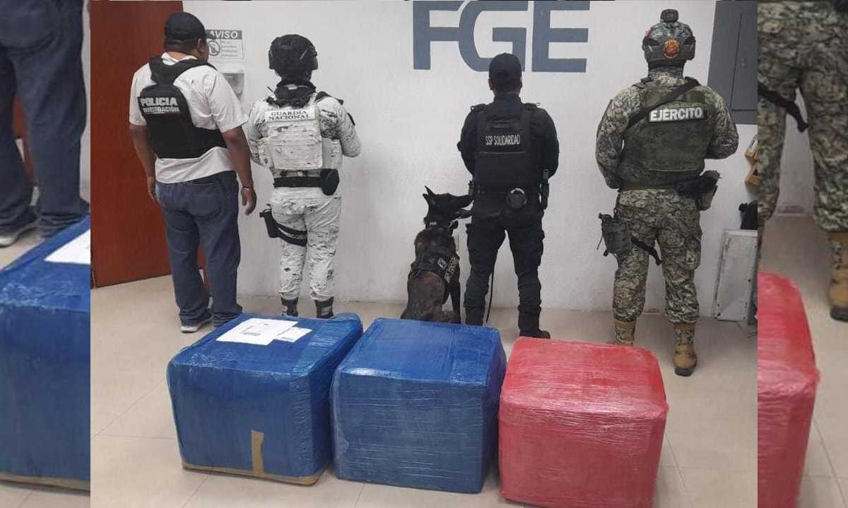 Aseguran droga en Playa del Carmen.