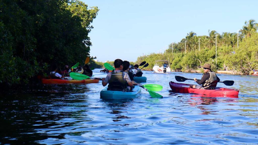 Así fue la limpieza en la Laguna Nichupté.