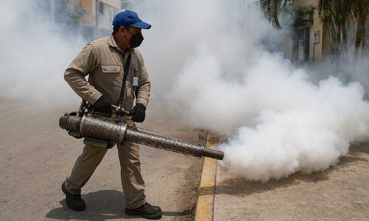 Regresa ckikungunya.