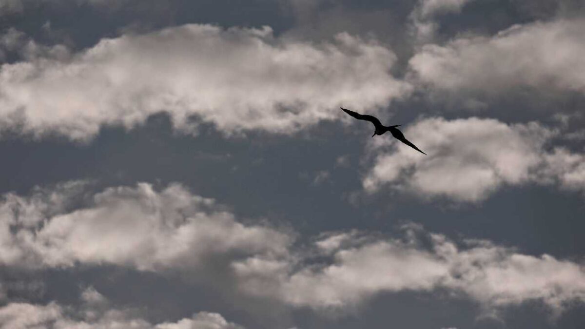 Par hoy prevén lluvias y nublados.