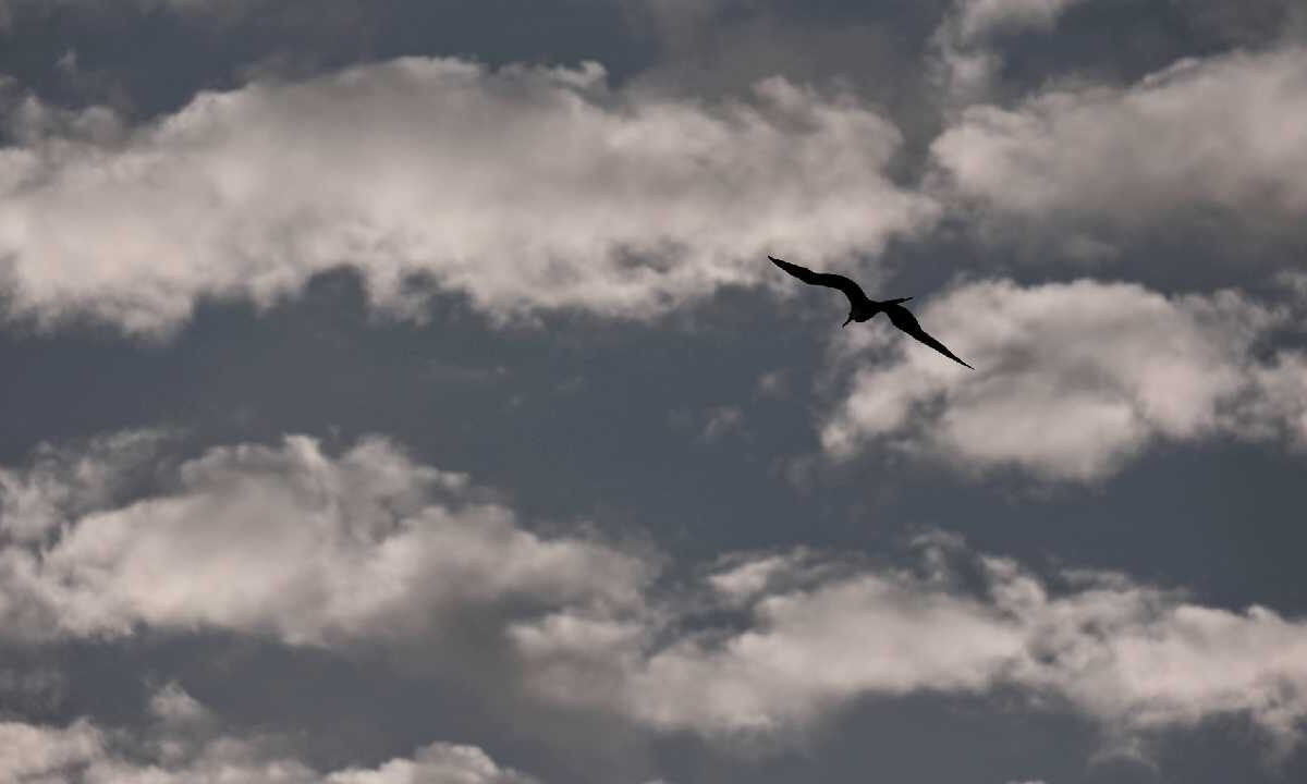 Par hoy prevén lluvias y nublados.