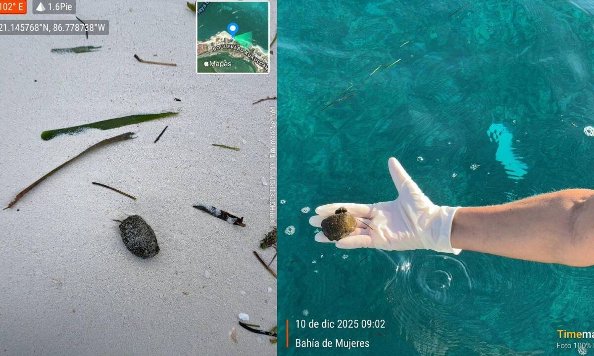 Recolección de muestras en playas de Cancún.