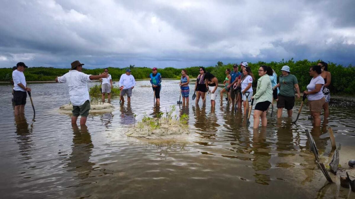 Cozumeleños en pro del ambiente.