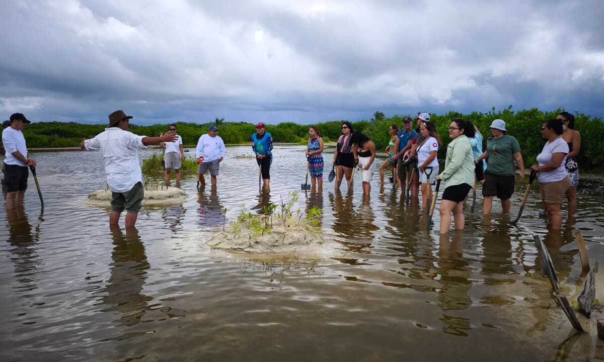 Cozumeleños en pro del ambiente.
