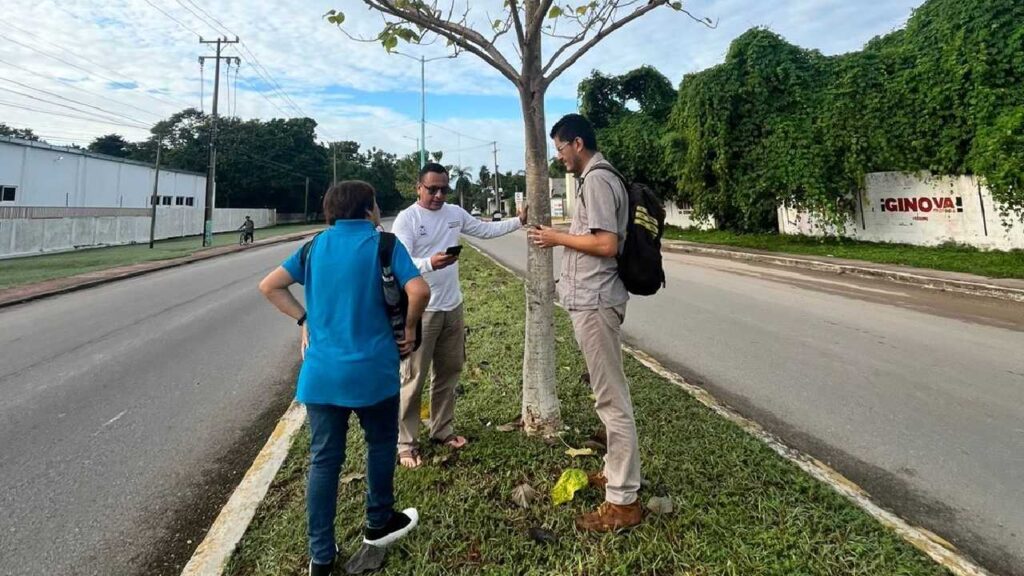 El gobierno de Quintana roo comprometido con el medio ambiente.
