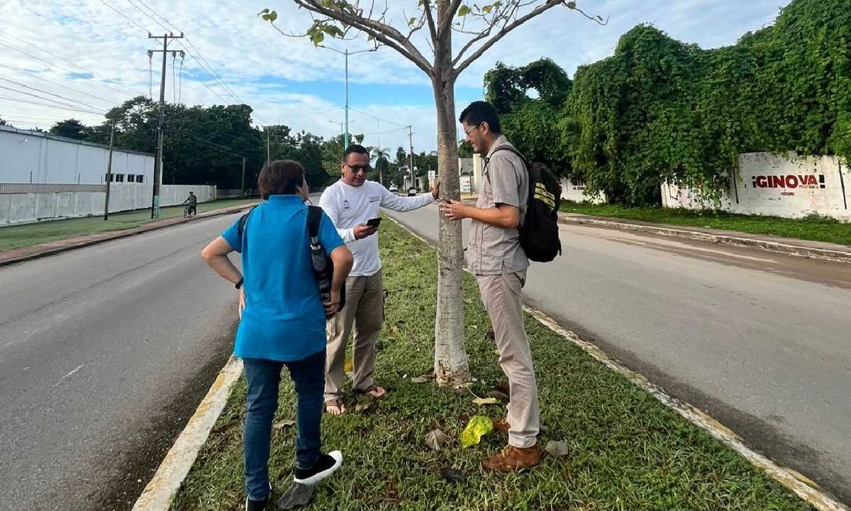 El gobierno de Quintana roo comprometido con el medio ambiente.