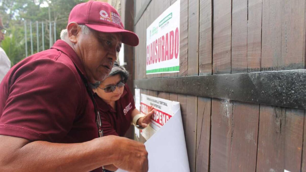 Sedetus exhibe desarrollos irregulares.