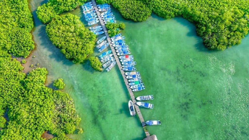 Sectur promueve Tulum y Punta Allen.