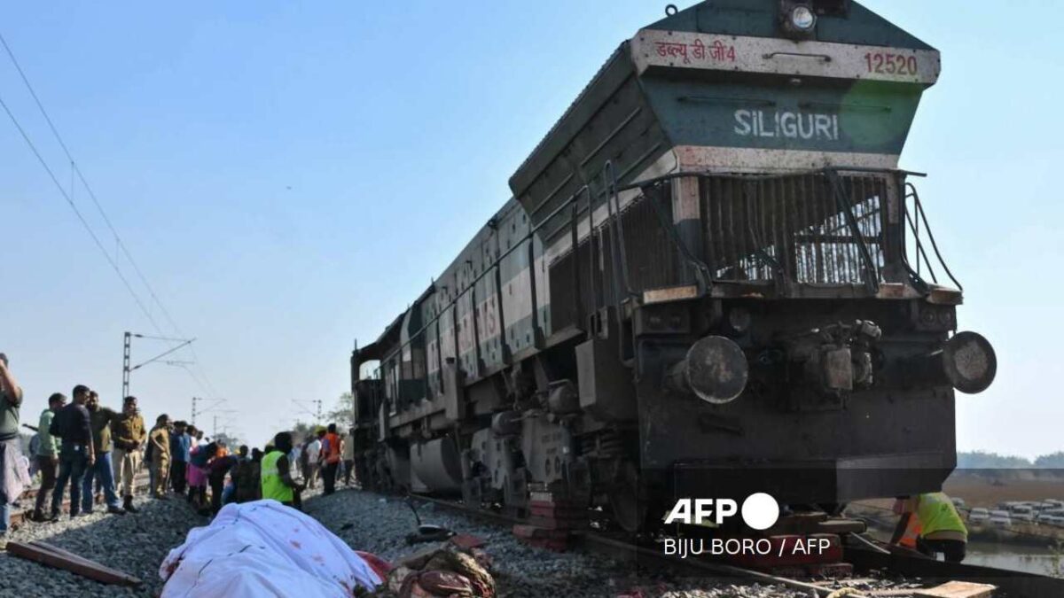 Elefantes mueren en accidente de tren en la India.