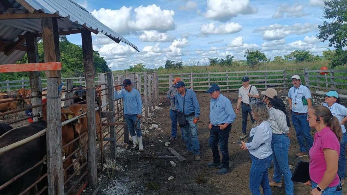 Respalda el Gobierno de Quintana Roo medidas para fortalecer la sanidad ganadera.
